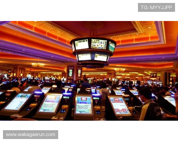 如何选择优质的ag盘口提升盈利概率的方法