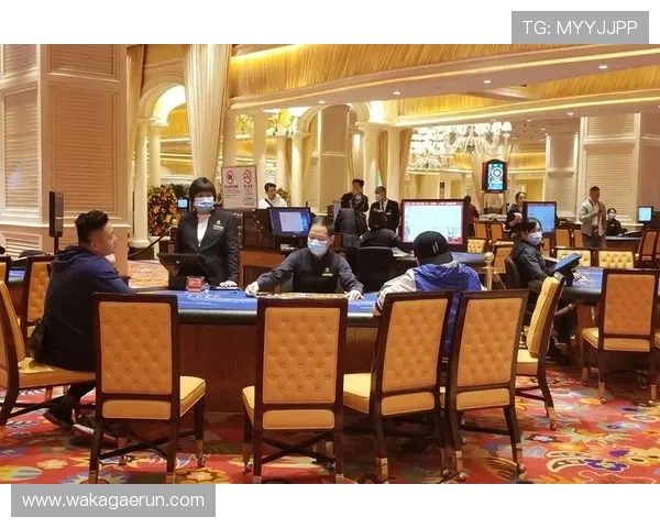 澳门PA真人娱乐体验全攻略,带你领略最真实的现场感受 澳门PA真人娱乐体验全攻略,带你领略最真实的现场感受