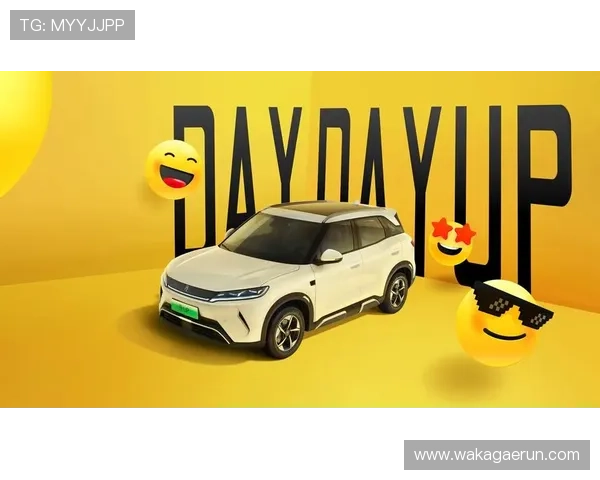 凯发天生赢家一触即发:从零开始迈向巅峰的实用指南 凯发天生赢家一触即发:从零开始迈向巅峰的实用指南