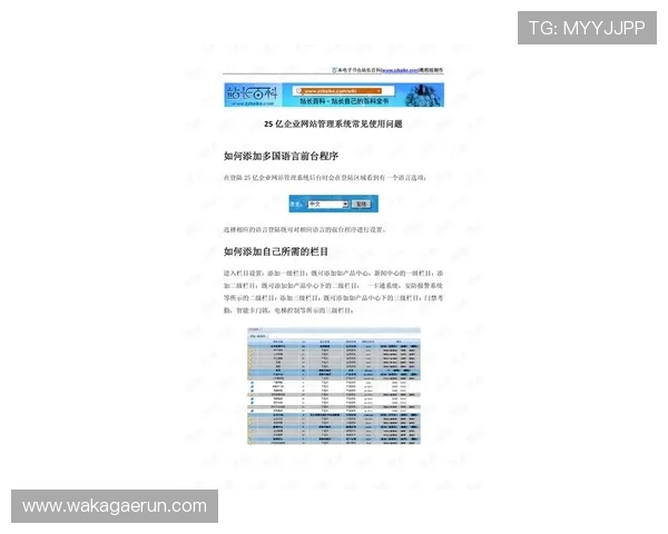 凯发电投网站官网安全登录技巧与常见问题解决方案全指南