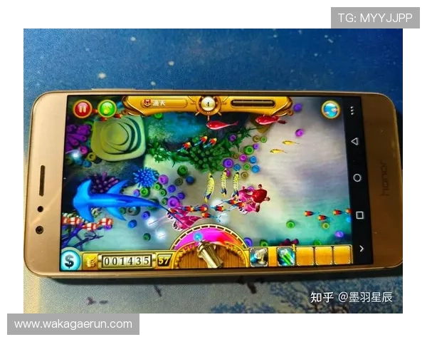 如何快速找到AG捕鱼官网地址,确保游戏体验安全无忧