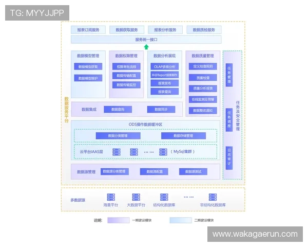 解析ag视讯厅官网的注册流程与用户体验优化